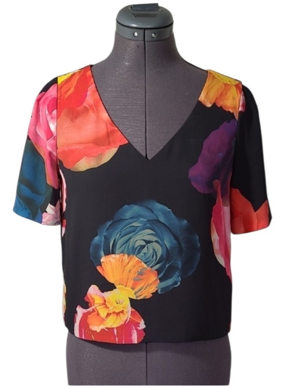 Babaton Aritzia Rose Print Pink Blue Graphic Crop Blouse
